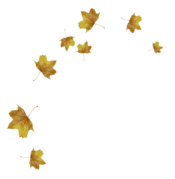 Падающие листья на прозрачном фоне