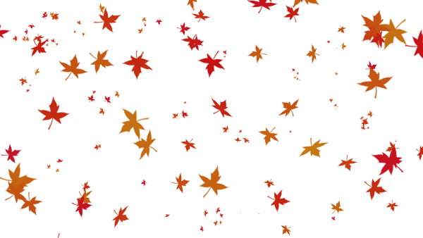 Осенний листопад на прозрачном фоне