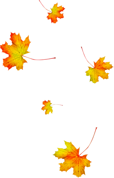 Осенние листья анимация