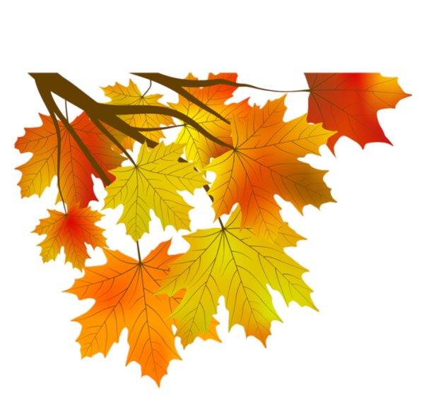 Осенние листья клипарт