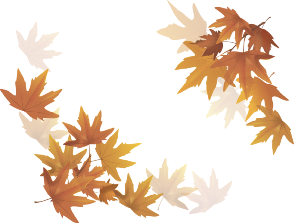 Россыпь листьев на прозрачном фоне