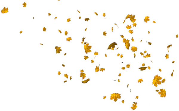 Падающие листья
