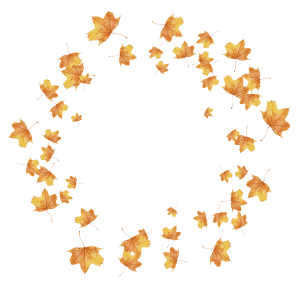 Осенние элементы на прозрачном фоне