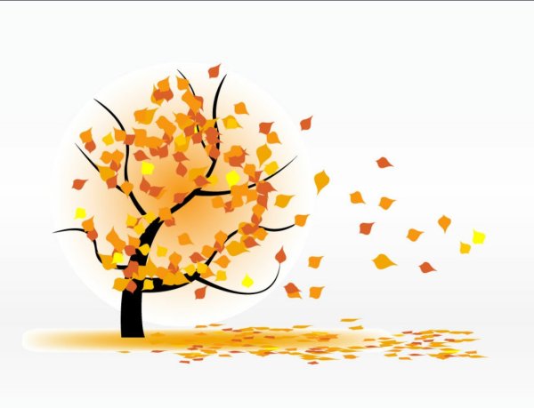 Дерево с опавшими листьями