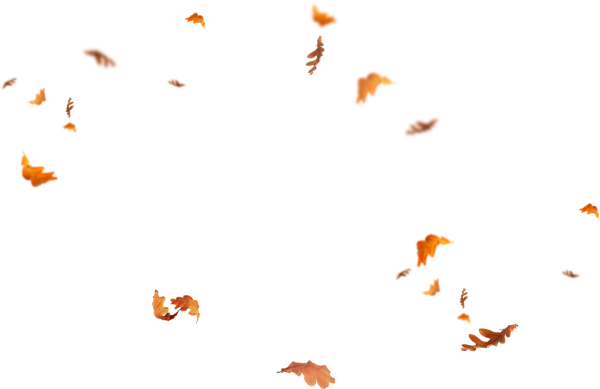 Листья летят