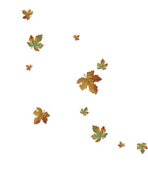 Осенний листопад на прозрачном фоне