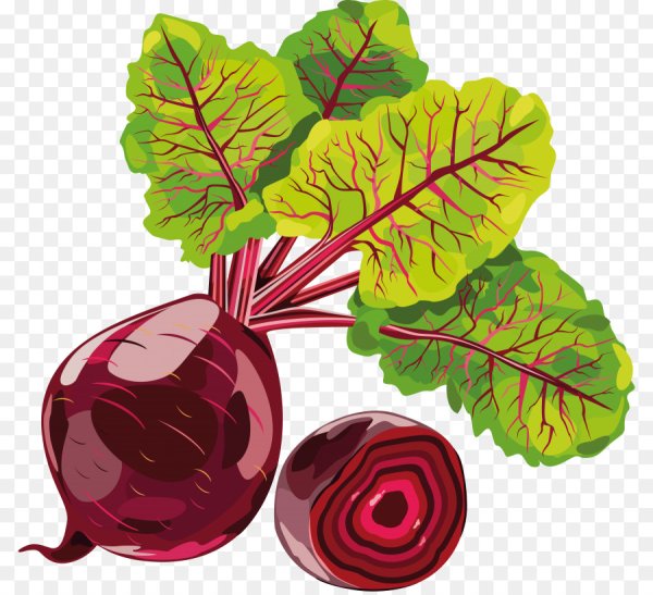 Свекла мультяшная