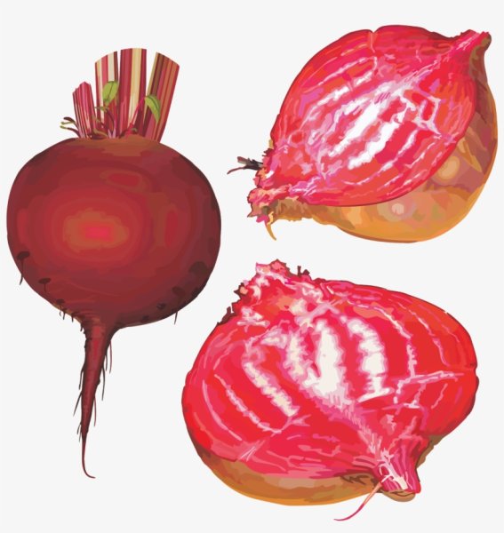 Овощи в разрезе