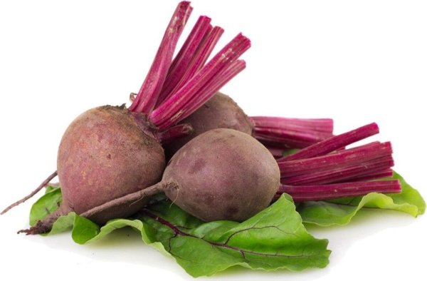 Свёкла венчикоцветная