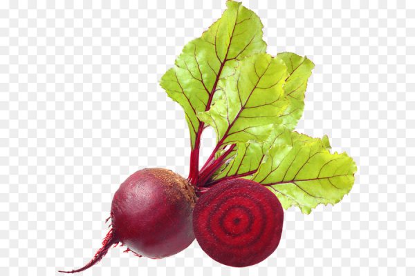 Свекла для детей