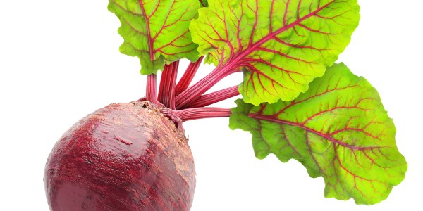 Свекла для детей