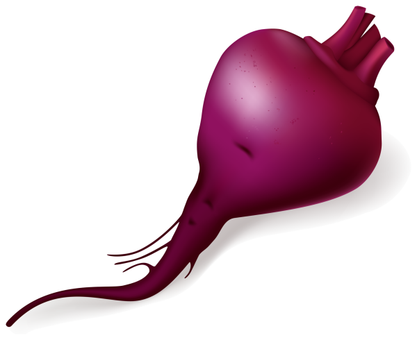 Свекла без фона