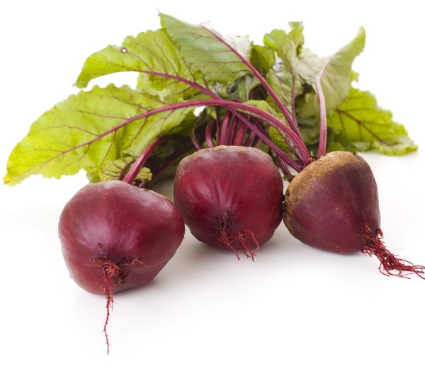 Корнеплод свеклы