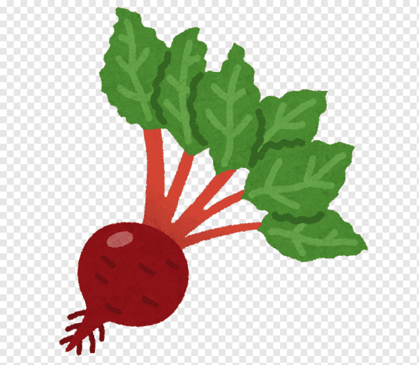 Свекла вектор