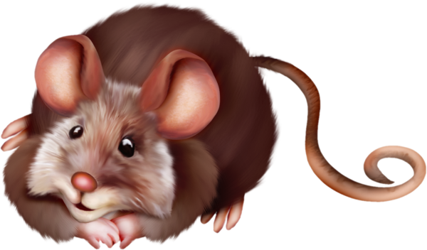 Мышка на прозрачном фоне