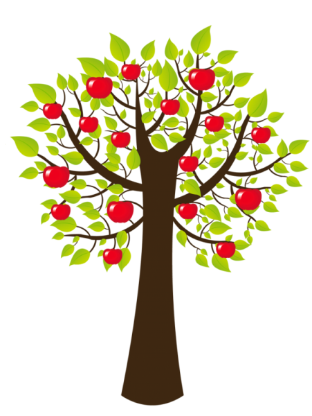 Яблоня дерево