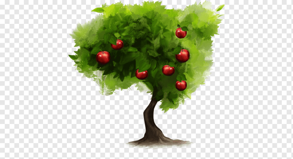 Фруктовые деревья для детей