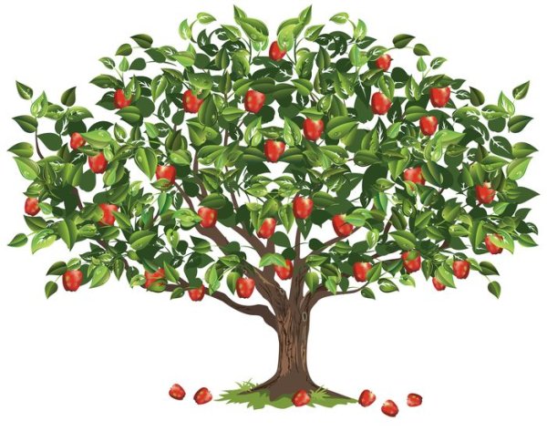 Фруктовые деревья для детей