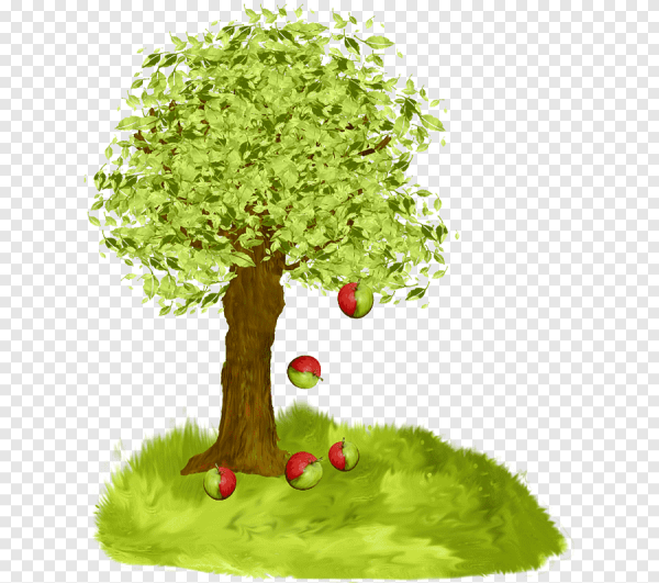 Дерево яблоня на прозрачном фоне