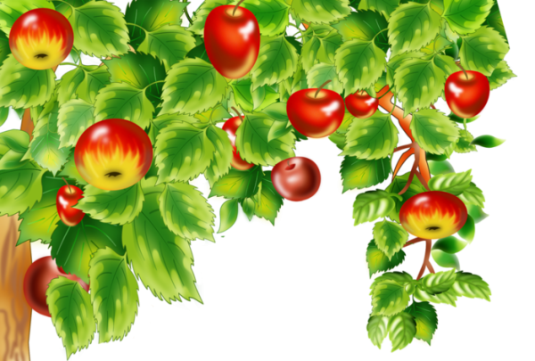 Яблоня в детском саду