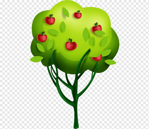 Яблоки на дереве