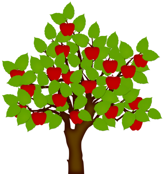 Яблоня дерево для детей