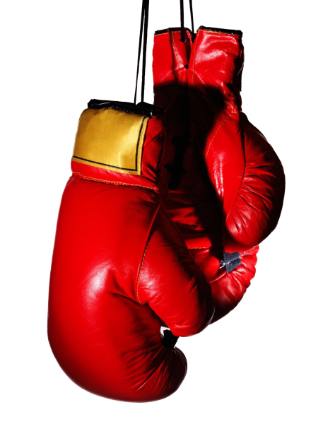 Боксерские перчатки