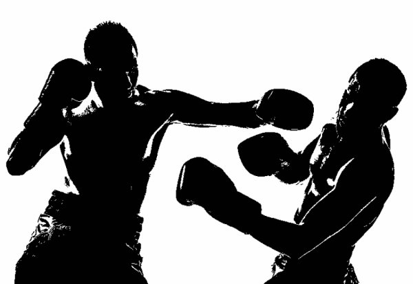 Боксер на белом фоне