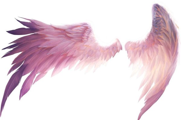 Красивые Крылья