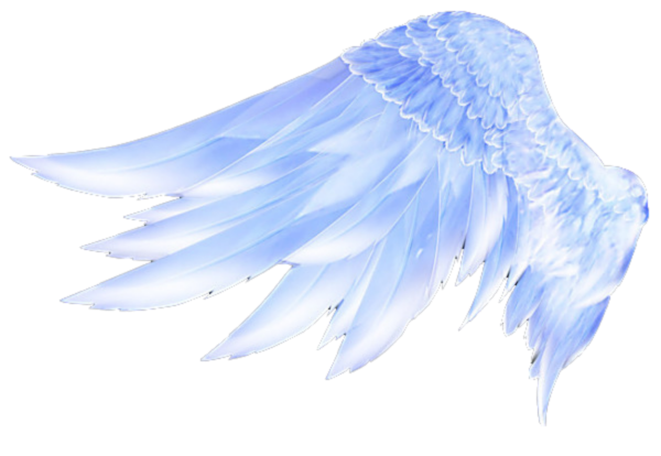Крылья ангела для фотошопа