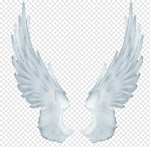 Белые Крылья