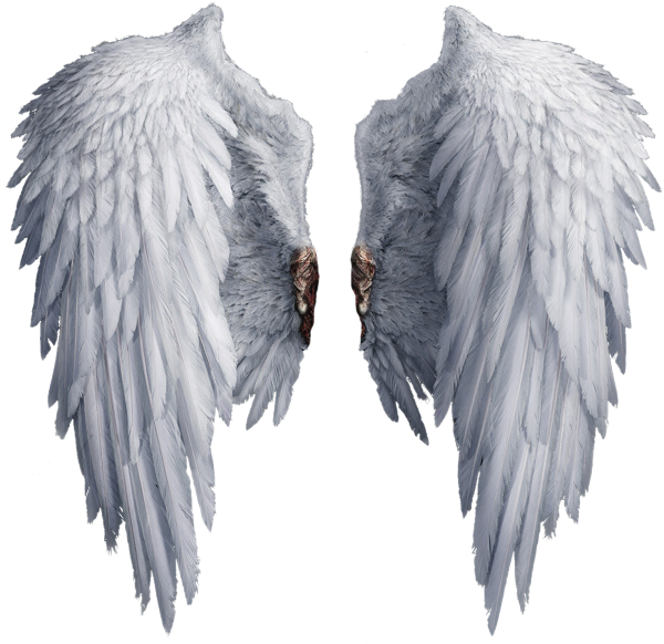 Ангел с крыльями