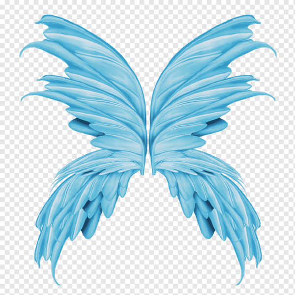 Крылья для фотошопа реалистичные