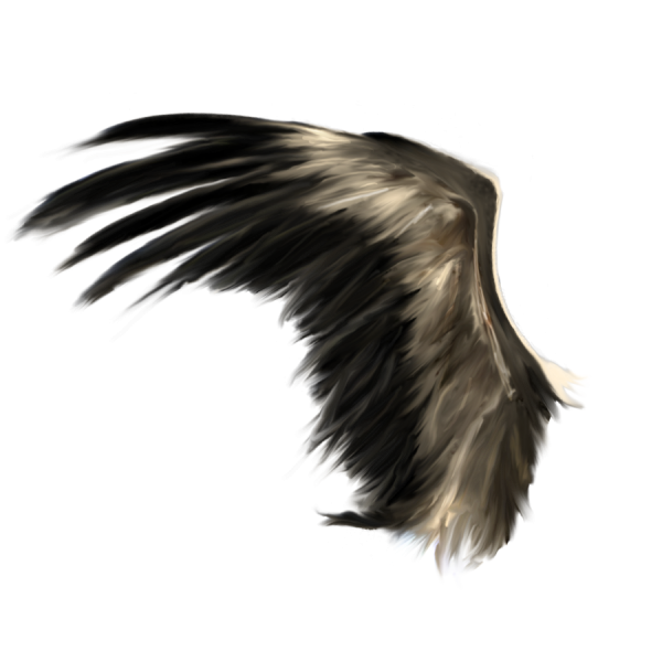 Черные Крылья