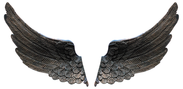 Крылья для фотошопа