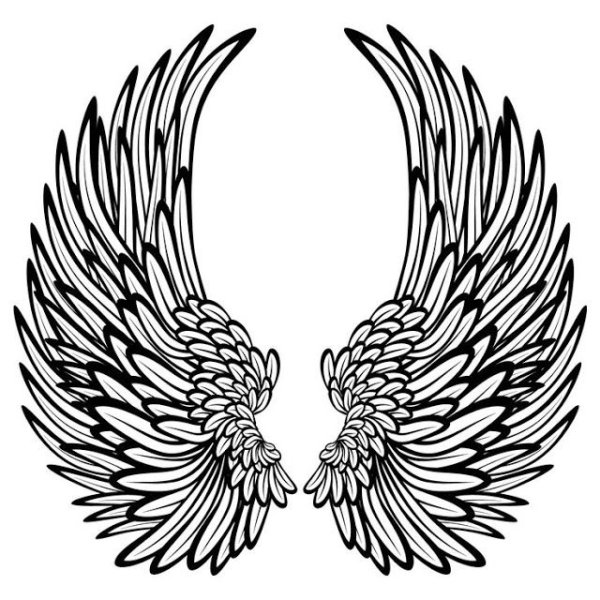 Крылья тату эскиз