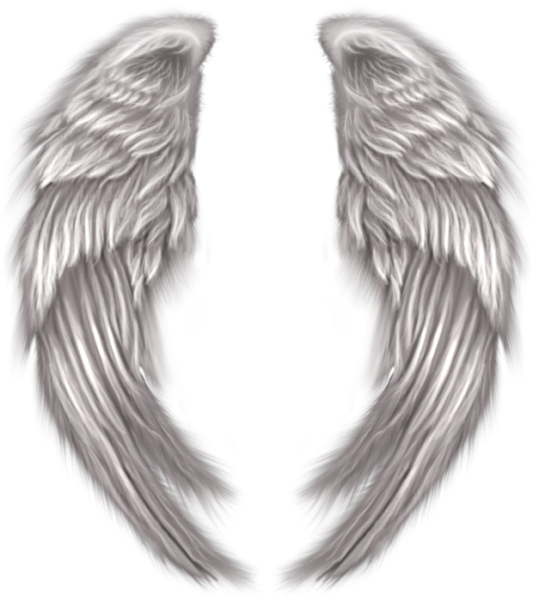 РАСПРАВЛЕННЫЕ Крылья ангела