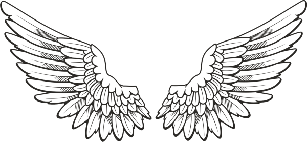 Крылья раскраска