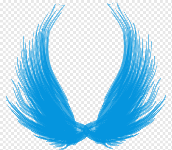 Бирюзовые Крылья