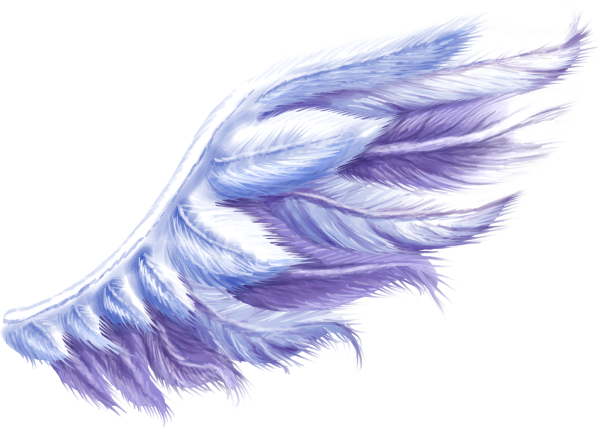 Крылья с боку