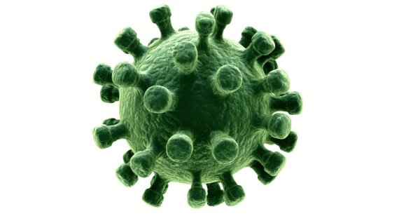 Вирус Covid 19