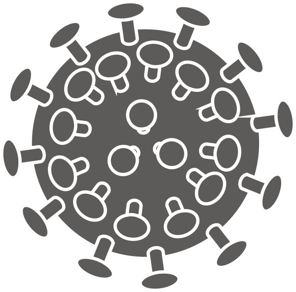 Вирус SARS-cov-2