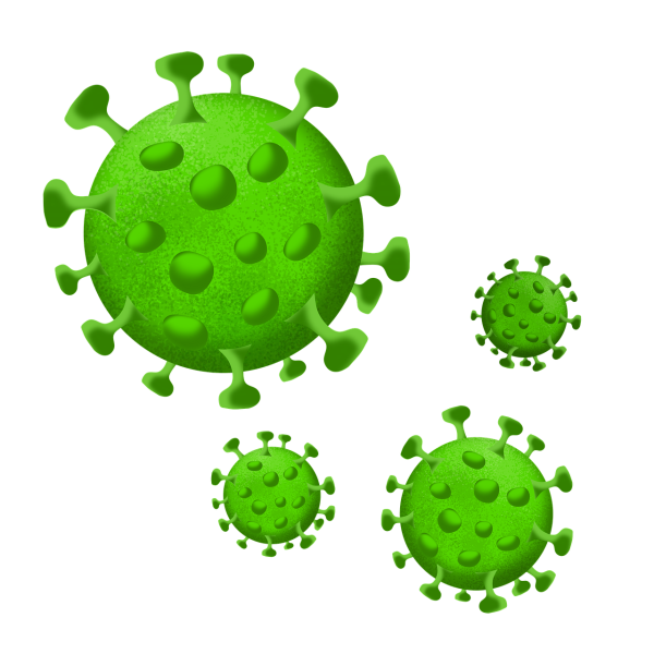 Вирус covid19 virus
