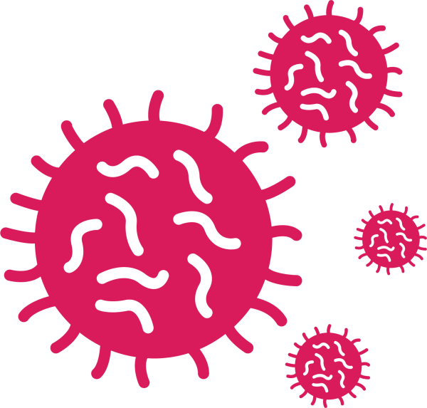 Вирус схематично