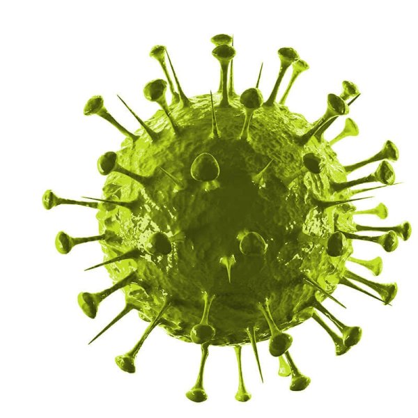 Вирус ковид19