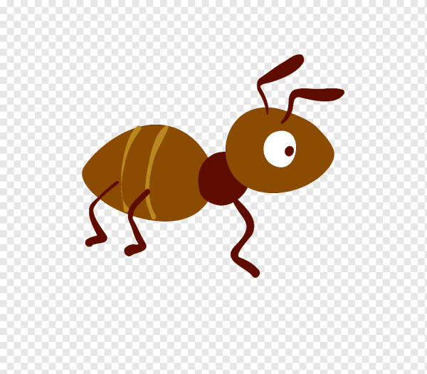 Муравьи мультяшные