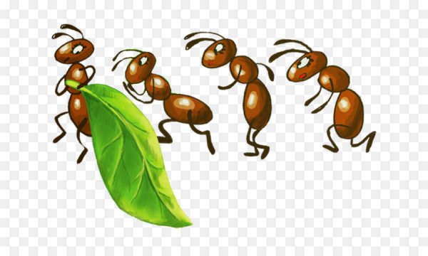 Муравьи мультяшные