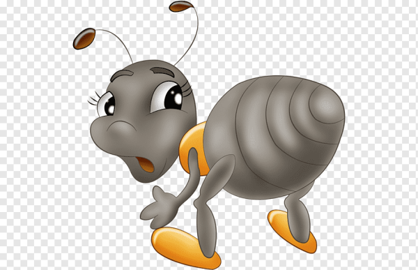 Муравьишка на белом фоне