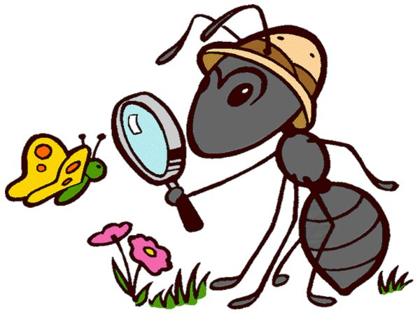 Муравей для детей