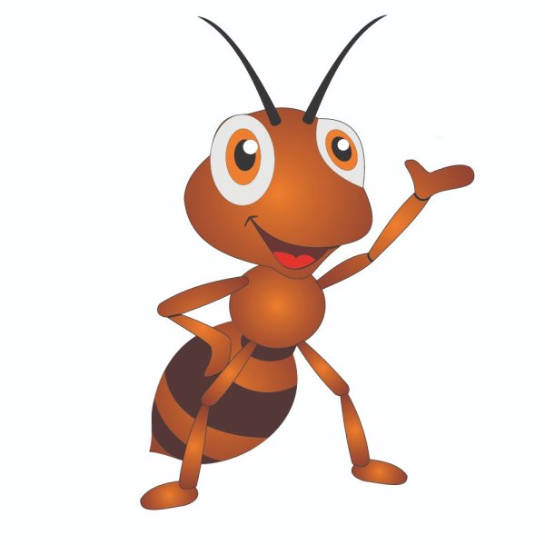 Муравей рисунок